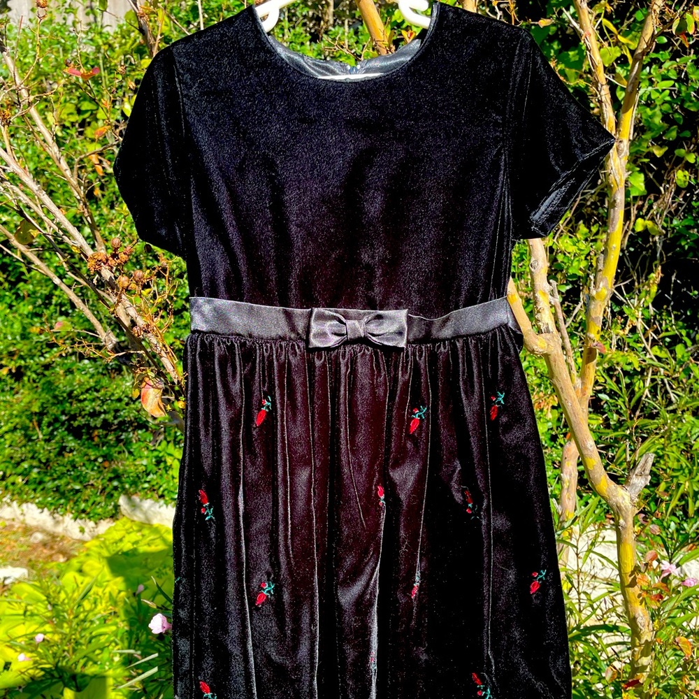 Black velvet, with red roses design, Dress, Size 5